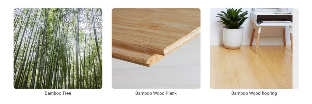 Bamboo wood