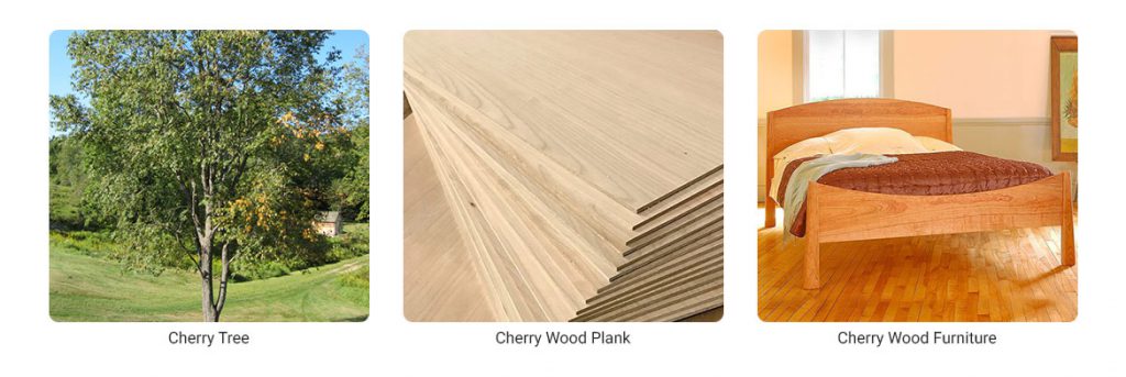 Cherry wood