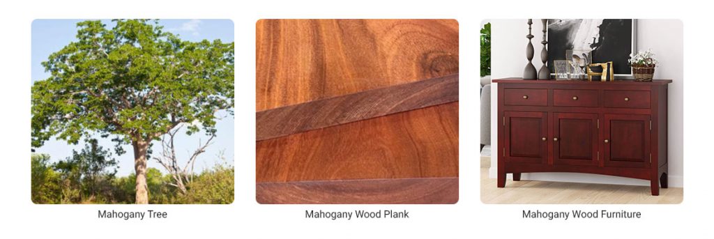 Mahogany-Wood