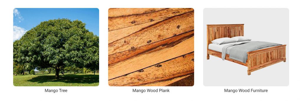 Mango wood