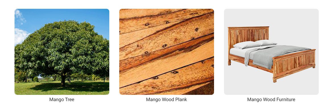 Mango wood types