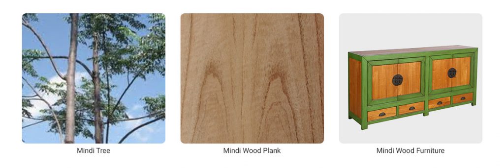 Mindi Wood