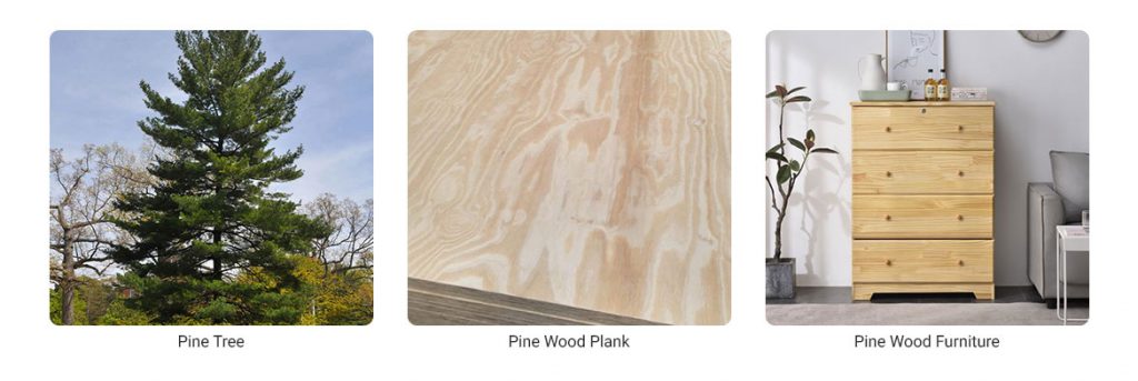 Pine Wood