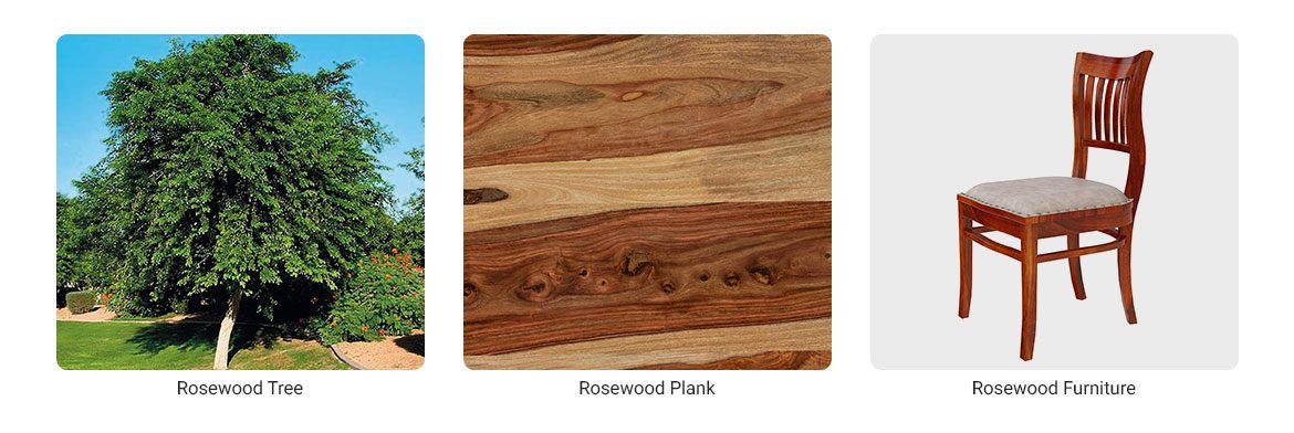 Rosewood types 