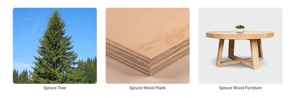 Spruce Wood