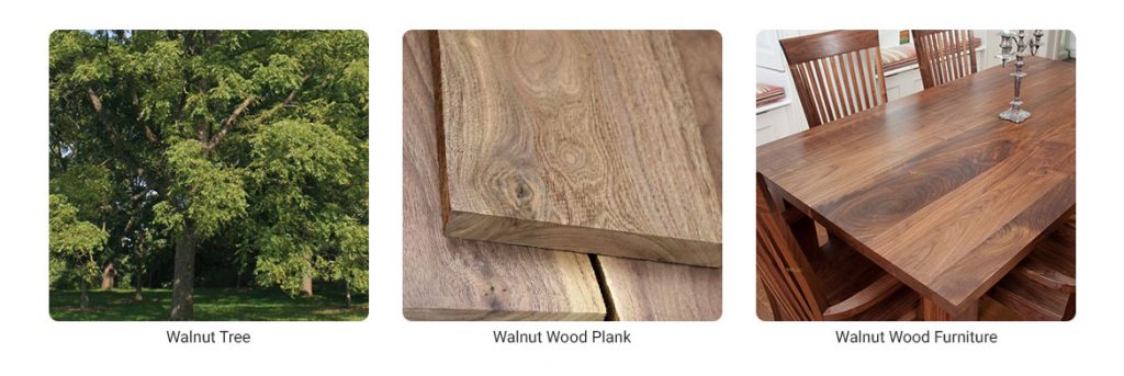 Walnut Wood