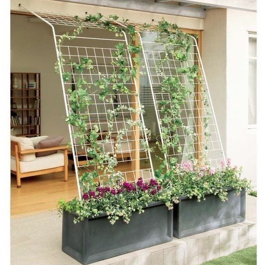 Tall Planters Barn Doors Used as Room Divider in Backyards.