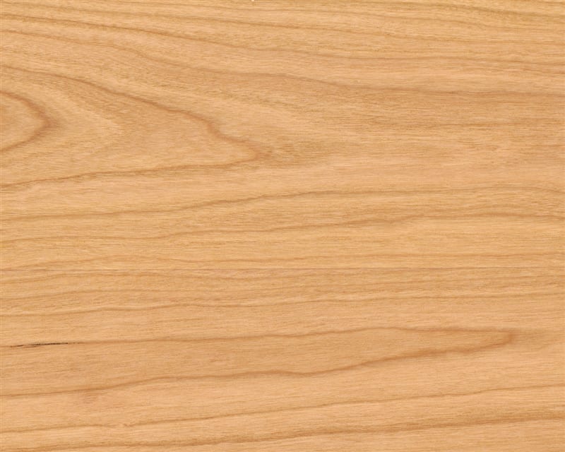 A swatch of genuine cherry wood 