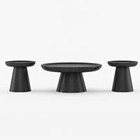 13534_Black