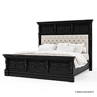 13621_Black