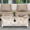 Picture of Winter Storm Reclaimed Wood Trunk Coffee Table