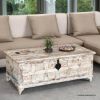 Picture of Winter Storm Reclaimed Wood Trunk Coffee Table