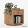 Picture of Britain Rustic Teak Wood 1 Drawer Bedside Nightstand