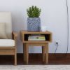 Picture of Palermo Teak Wood Mid-century Modern Open Space End Table