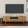 Palermo Mid-Century Modern Teak Wood TV Stand (70")