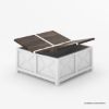 Picture of Acireale Modern Farmhouse Square Coffee Table With Trunk Storage