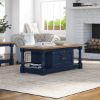 Picture of Livorno Solid Wood Rectangle Blue Coffee Table With Storage