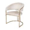 Picture of Tournai Classic Beige Stainless Steel Upholstered Armchair