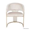 Picture of Tournai Classic Beige Stainless Steel Upholstered Armchair