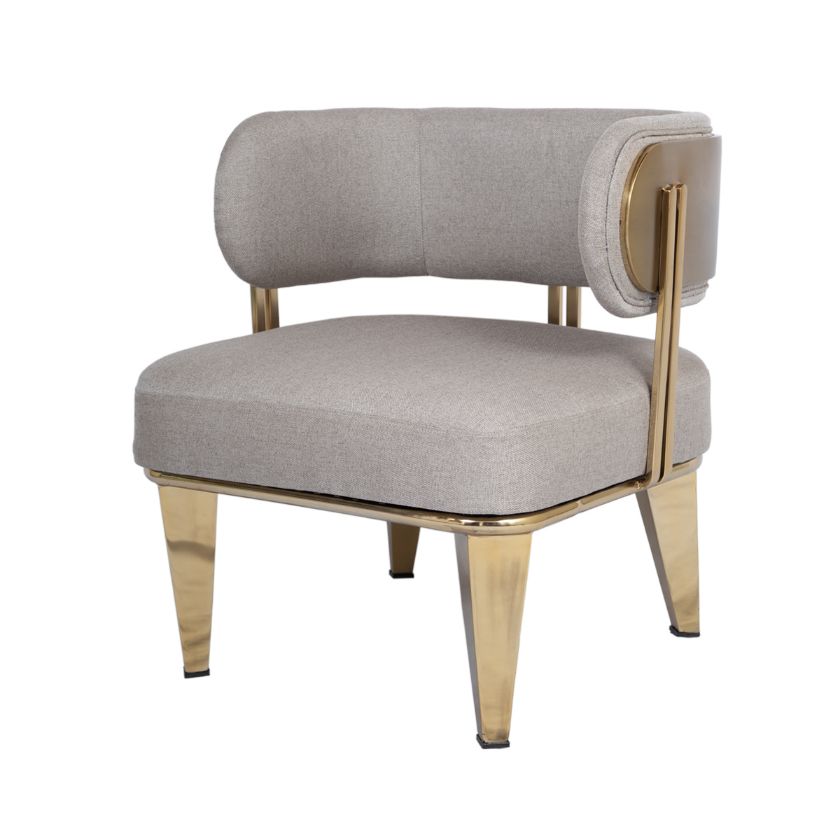 Picture of Monschau Modern Steel Upholstered Accent Chair