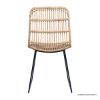 Picture of Tongeren Rattan And Iron Dining Chair