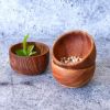 Picture of Tellaro Solid Teak Wood Dip & Sauce Bowls (Set of 6)