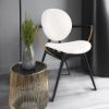 Picture of Wrocław Modern Circle Armchair With Steel Frame