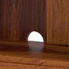 Picture of Lithia Tall Solid Wood Bookcase with Door
