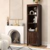 Picture of Glencoe Solid Wood Bookcase with Door