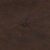 Picture of Carling Extra Large Leather Ottoman Coffee Table