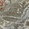 Picture of Encinitas Abstract Tan Rust Vintage Area Rug
