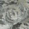 Picture of Tulare Mongolian Style Green Gray Distressed Area Rug