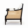 Picture of Nemaha Black and White Upholstered Rattan Accent Chair with Armrest
