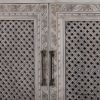 Picture of Ajax Hand Carved Classic Accent Storage Cabinet with Doors