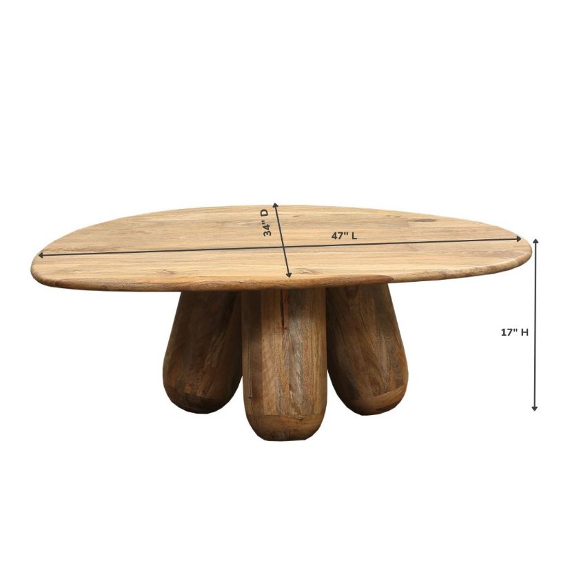 Gokayama Modern Organic Irregular Shaped Coffee Table Dimension Image