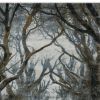 Picture of Huntsville Hand Knotted Forest Scene Abstract Area Rug