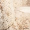 Picture of Rosemère Beige Faux Fur Accent Sofa Chair 